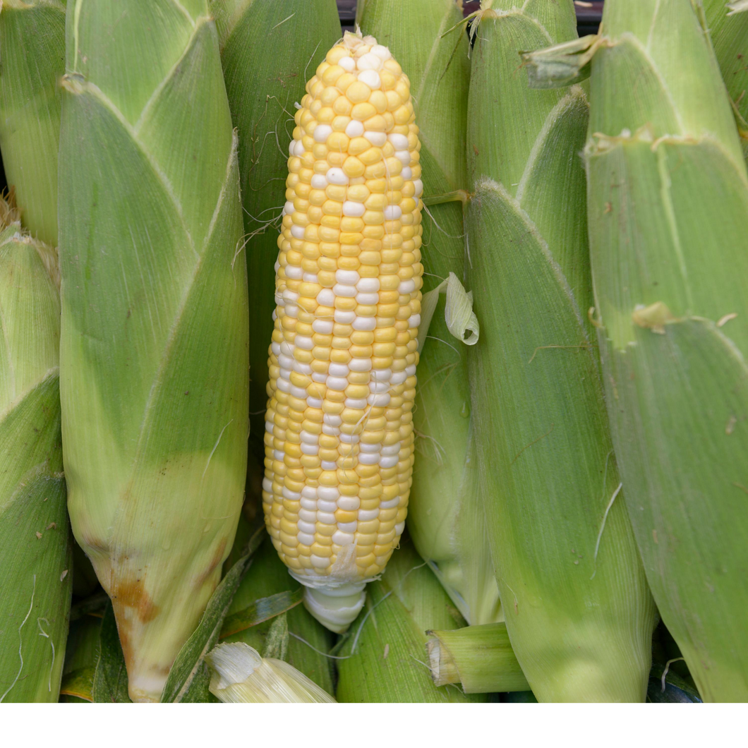 Corn on the Cob - 1/2 Dozen