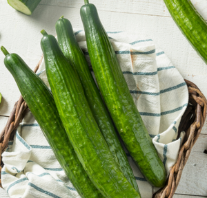 Cucumber - Seedless
